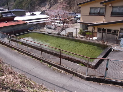 奈良田の里温泉のプール
